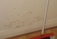 Image of cream wall with peeling paint indicating damp