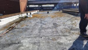 Silver Solar Reflective Coating on Asphalt Roof - man's foot in foreground